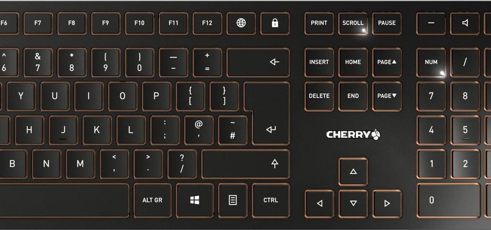 CHERRY DW 9100 - Tastatur-und-Maus-Set - kabellos - 2,4 GHz, Bluetooth 4,0, Bluetooth 4,2 - QWERTY - GB - Tastenschalter: CHERRY SX - schwarz/bronze (JD-9100GB-2)