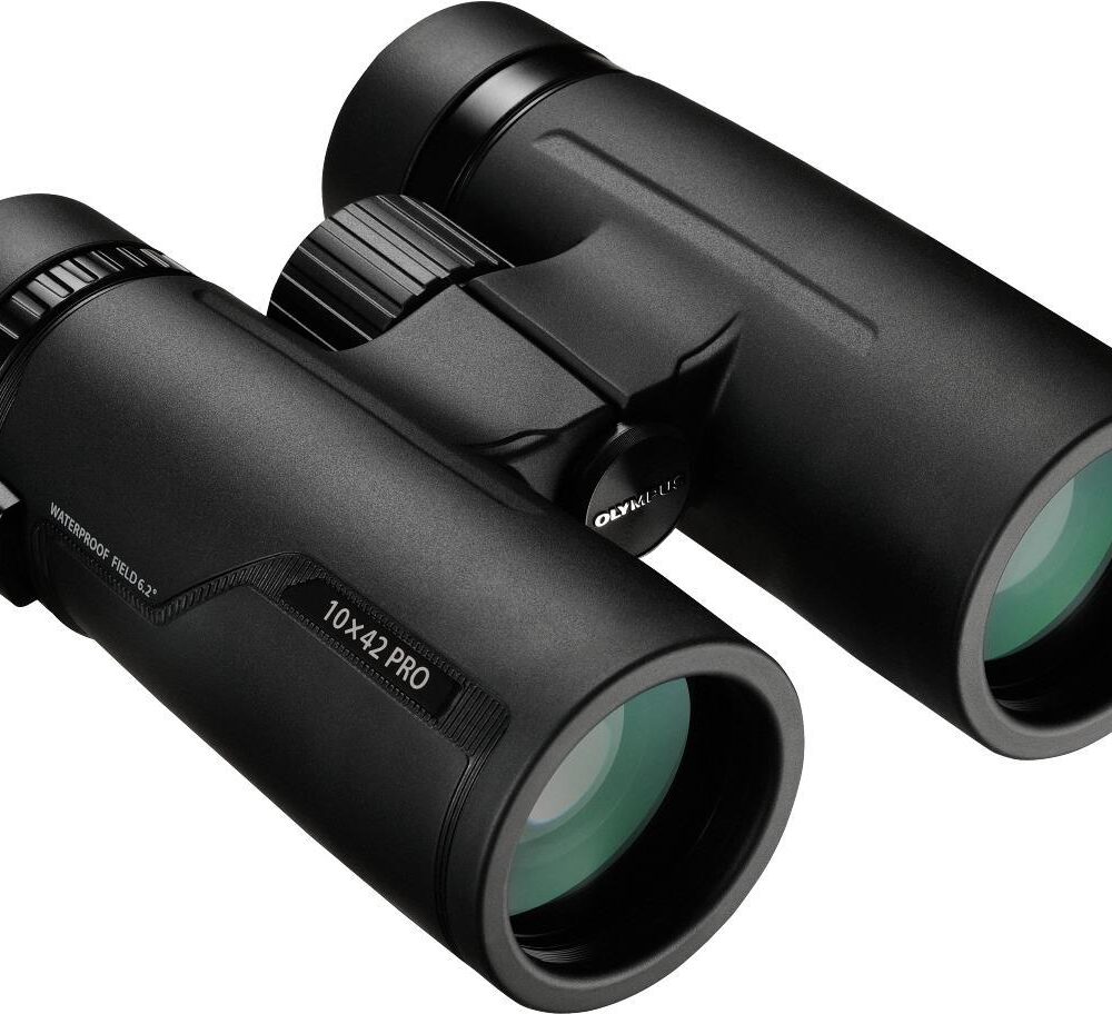 Olympus 10x42 PRO - Dach - 10x - 4,2 cm - Voll mehrfachbeschichtet (FMC) - Wasserfest - 665 g (V501021BU000)