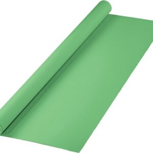 Hama Hintergrund, Karton, 2,75 x 11 m, Greenscreen-geeignet, Minzgrün (00021534)