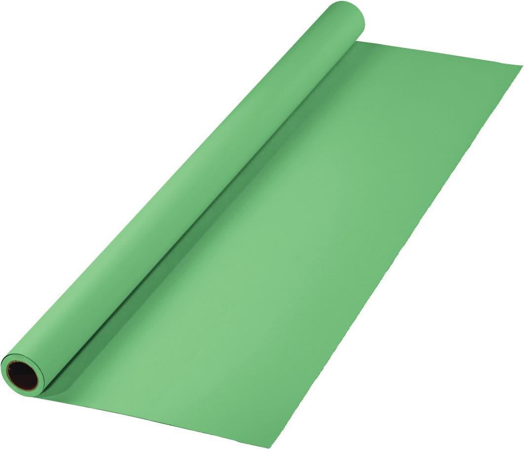 Hama Hintergrund, Karton, 2,75 x 11 m, Greenscreen-geeignet, Minzgrün (00021534)