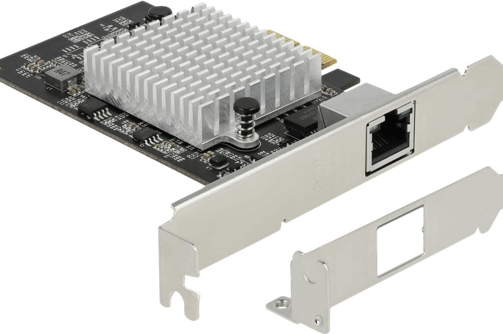 Delock - Netzwerkadapter - PCIe 3.0 x2 Low-Profile - 10M/100M/1G/2,5G/5G/10 Gigabit Ethernet (89528)