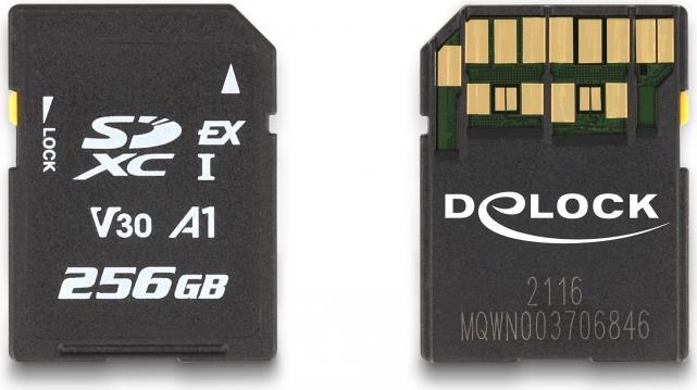Delock - Flash-Speicherkarte - 256 GB - Video Class V30 / UHS-I U3 - SD