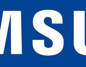 Samsung VG-FBB3BA/XC Projektor-Zubehör Akku (VG-FBB3BA/XC)