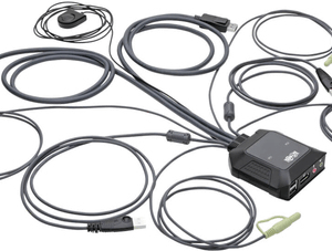 Eaton Tripp Lite series 2-Port DisplayPort 1.1/USB KVM Switch with Audio/Video, Built-In Cables, USB Peripheral Sharing - KVM-/Audio-/USB-Switch - 2 x KVM/Audio/USB - 1 lokaler Benutzer - Desktop (B032-DPUA2)
