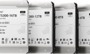 Synology HAT5300 - Festplatte - 4TB - intern - 3.5" (8,9 cm) - SATA 6Gb/s - 7200 U/min - Puffer: 256MB (HAT5300-4T)