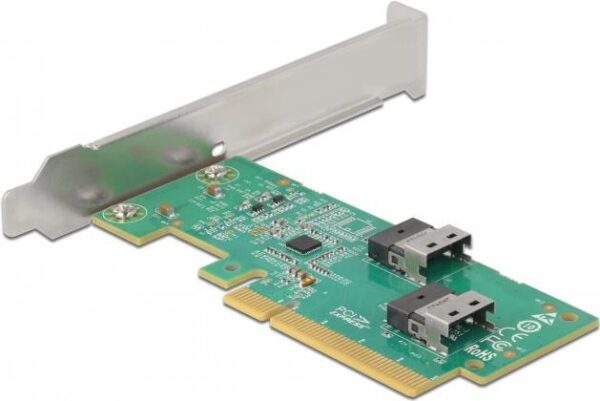 Delock - Speicher-Controller - U.2 NVMe - Low-Profile - PCIe 4.0 x8
