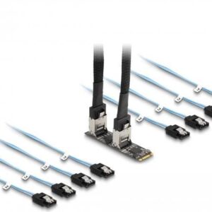 Delock Konverter M.2 2280 Key B+M Stecker zu 8 x SATA (64211)
