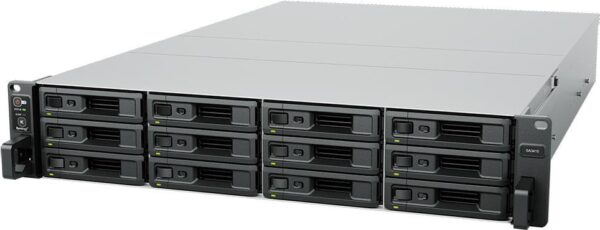 Synology SA SA3410 NAS & Speicherserver Rack (2U) Eingebauter Ethernet-Anschluss Schwarz - Grau D-1541 (SA3410)