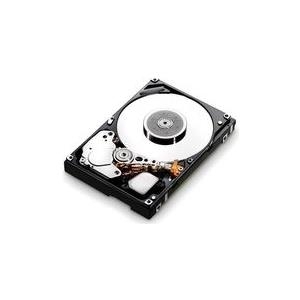 IBM Dual Port - Festplatte - 600 GB - Hot-Swap - 6.4 cm (2.5") - SAS 6Gb/s - 10000 U/min - für System Storage DS3524 Model C4A