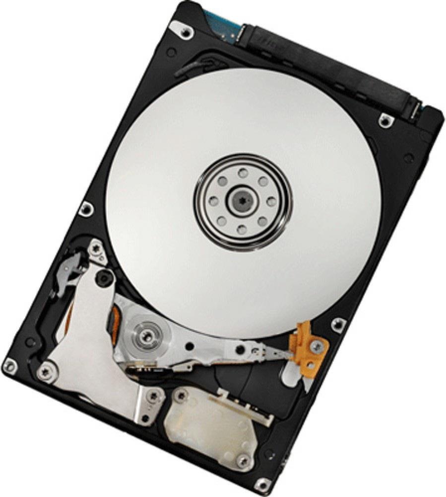Lenovo FRU42D0753 500GB Interne Festplatte (FRU42D0753)