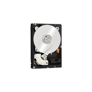 Ernitec HDD-1000GB Interne Festplatte 3.5"  Serial ATA III (HDD-1000GB)