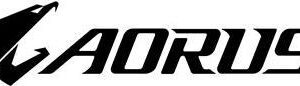 GIGABYTE AORUS Gen4 5000E - SSD - 1024GB - intern - M.2 2280 - PCIe 4,0 x4 (NVMe) (AG450E1024-G)