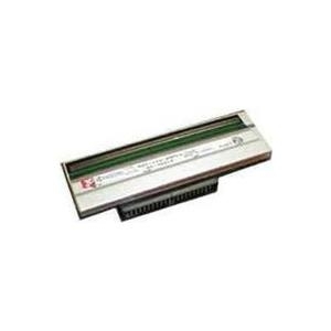 Zebra - Druckkopf - 1 - 203 dpi - für ZT200 Series ZT220, ZT230 (P1037974-010)
