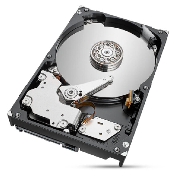 Hard Disk Seagate ST2000NT001 3,5" 2 TB 2 TB SSD 2 TB HDD