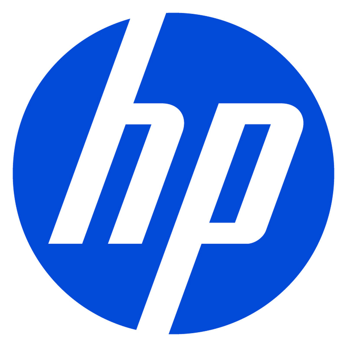 Scheda Grafica HP AV8J3AA