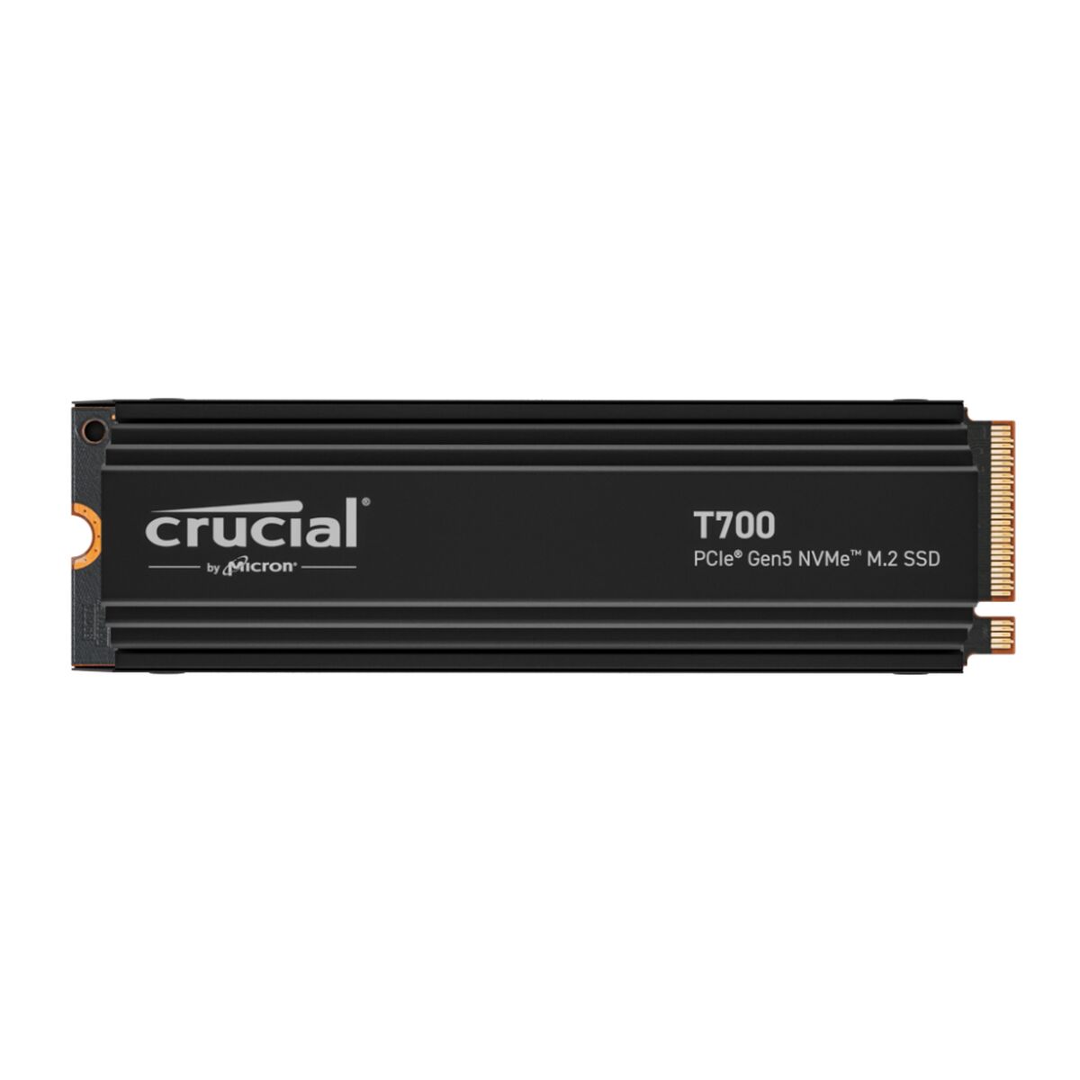 Hard Disk Crucial 1 TB SSD