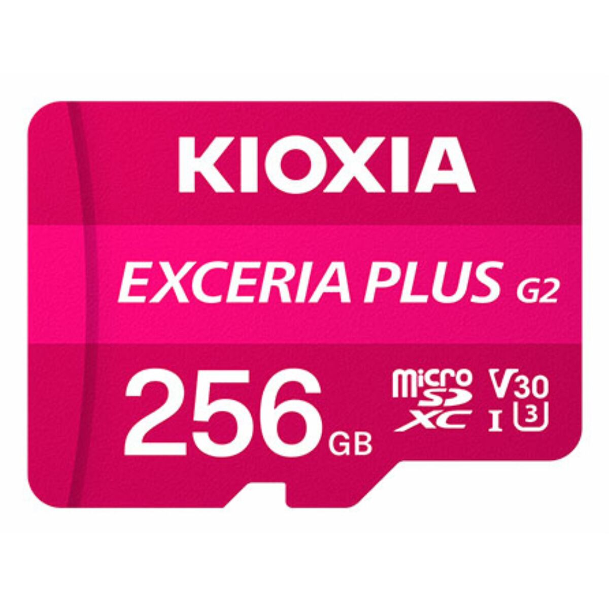 Scheda Di Memoria Micro SDXC Kioxia LMPL2M256GG2 256 GB