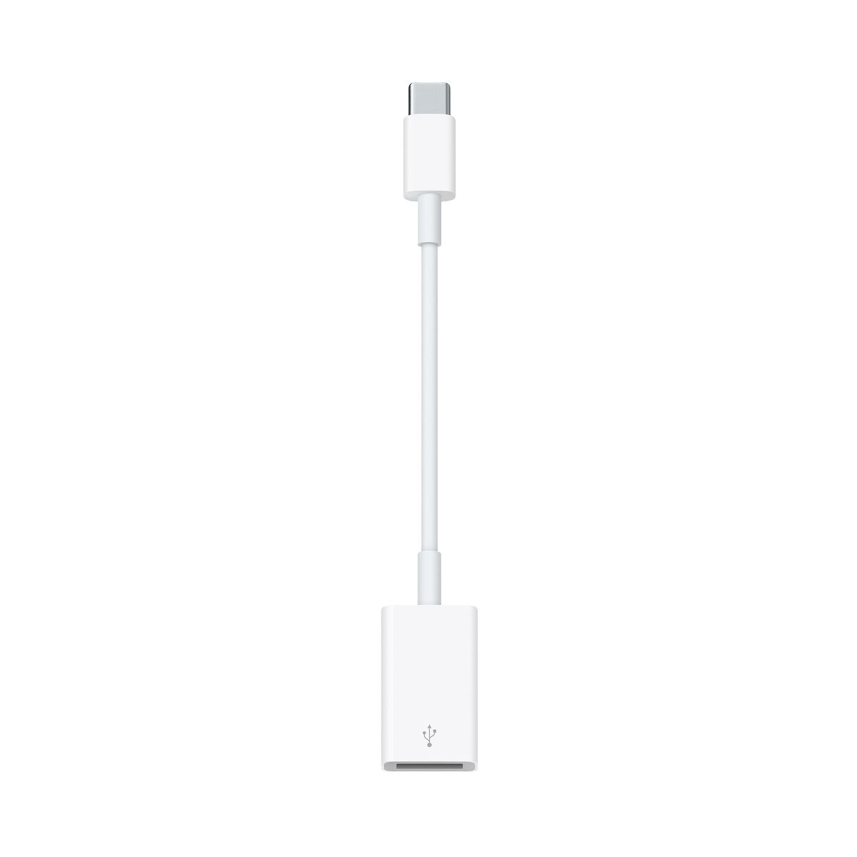 Adattatore USB Apple MW5L3ZM/A