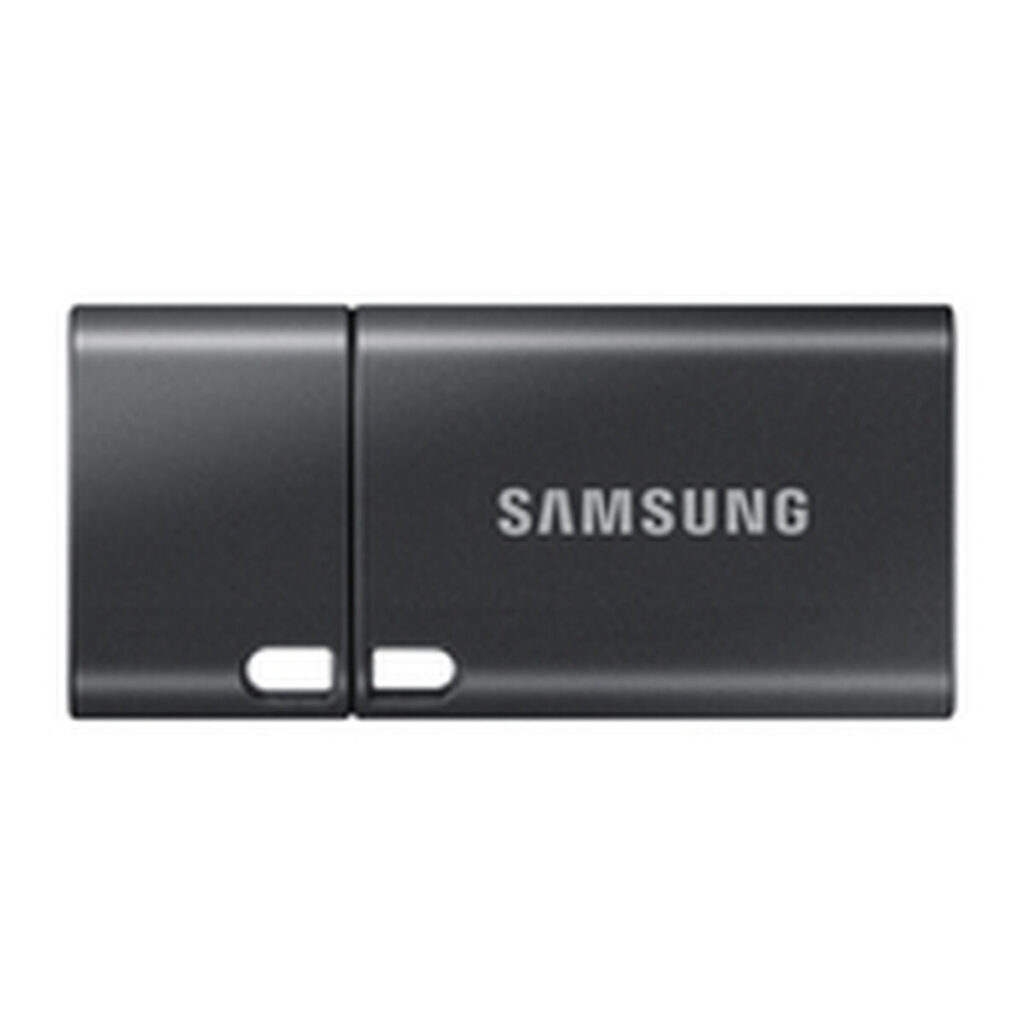 Memoria USB Samsung MUF-512DA4/APC Grigio 512 GB
