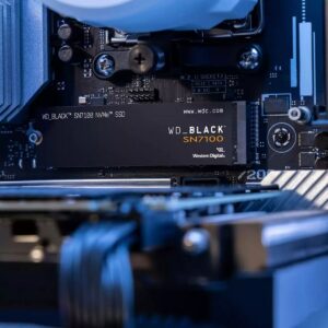 Hard Disk Western Digital WDS200T4X0E