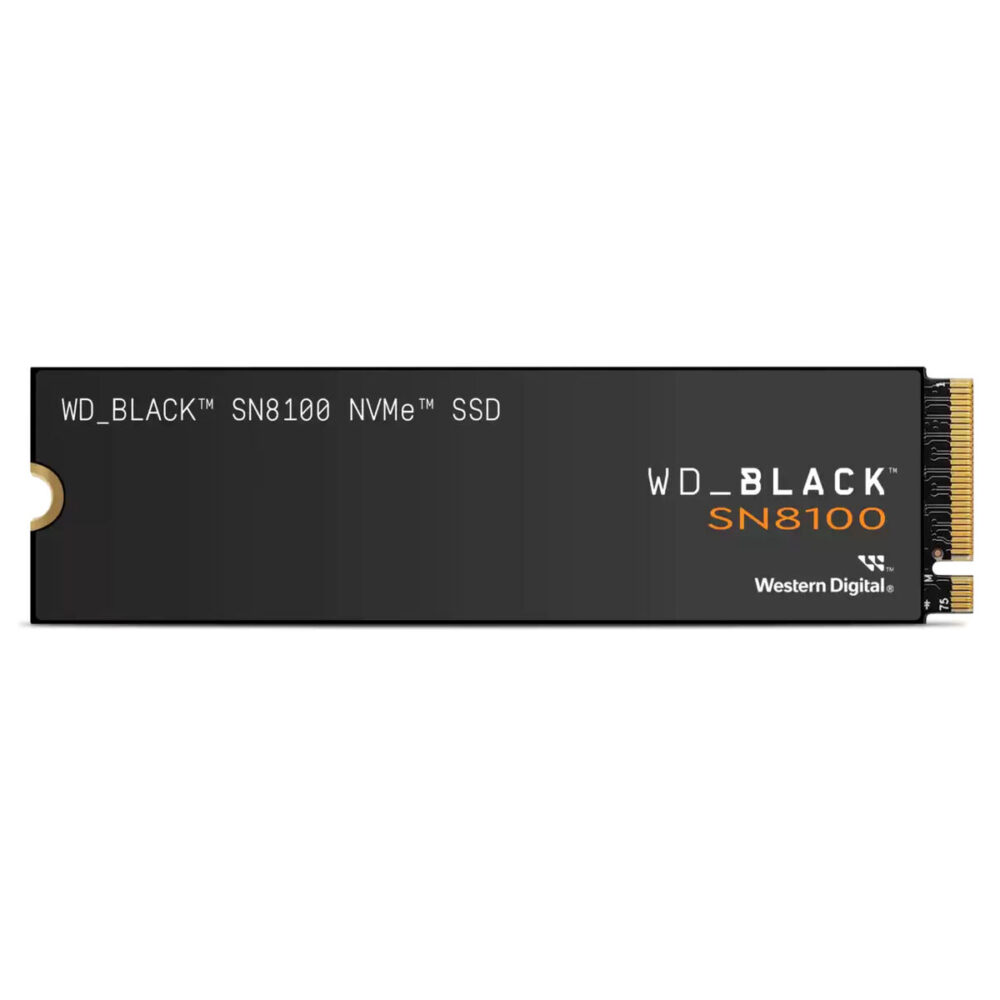 Hard Disk Western Digital WDS100T1X0M 1 TB SSD