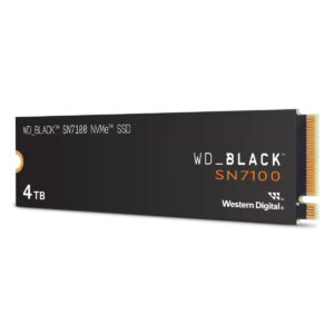 Hard Disk Western Digital WDS400T4X0E 4 TB SSD