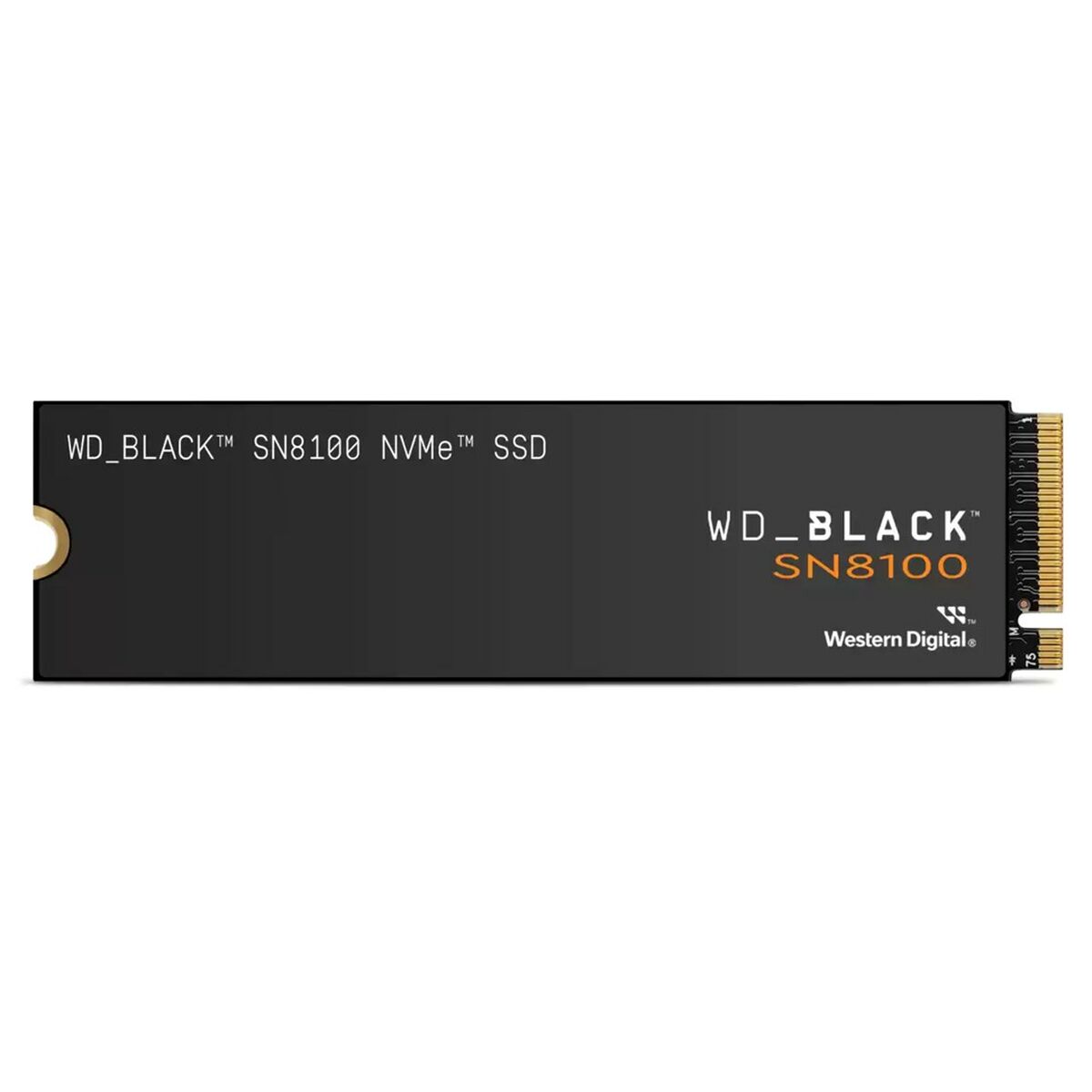Hard Disk Western Digital WDS200T1X0M 2 TB SSD