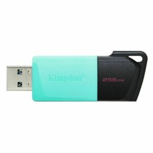 Memoria USB Kingston Exodia M Nero 256 GB (1 Unità)