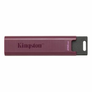 Memoria USB   Kingston Max         Rosso 256 GB
