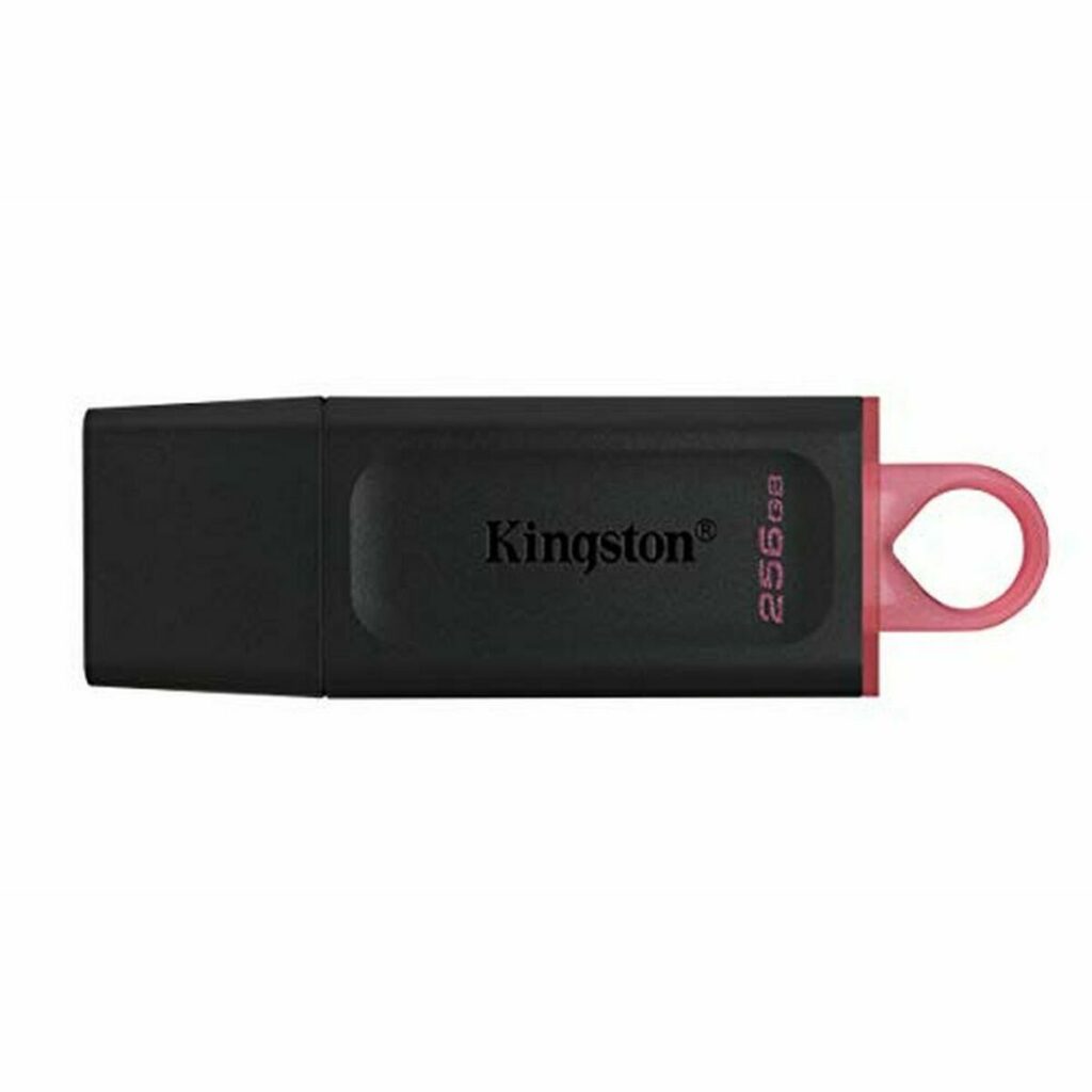 Memoria USB Kingston DTX/256GB Nero 256 GB