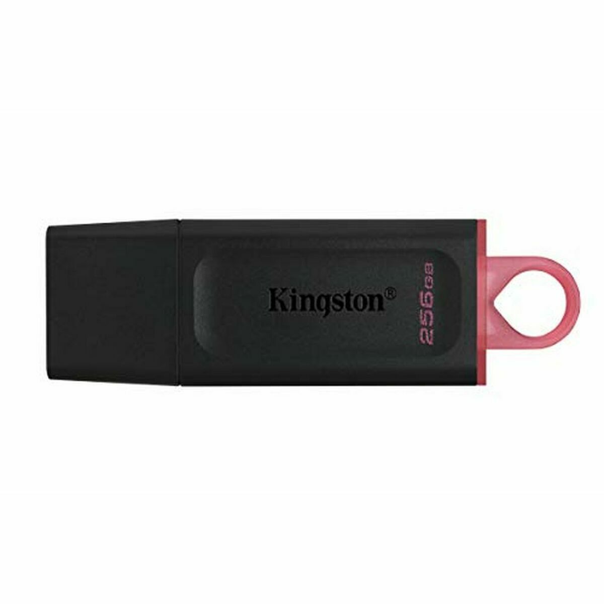 Memoria USB Kingston DTX/256GB Nero 256 GB