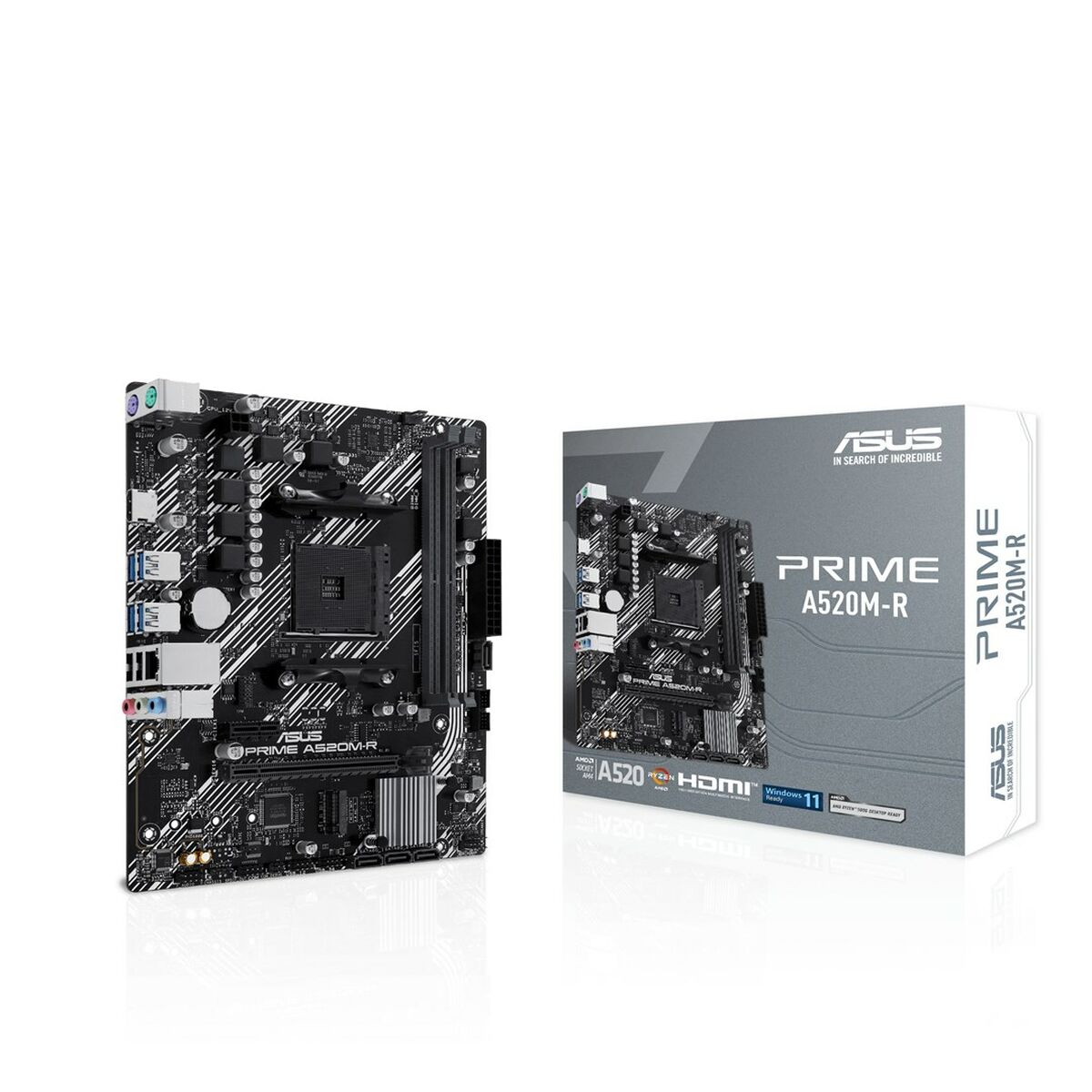 Scheda Madre Asus 90MB1H60-M0EAY0 AMD AM4 AMD A520 AMD
