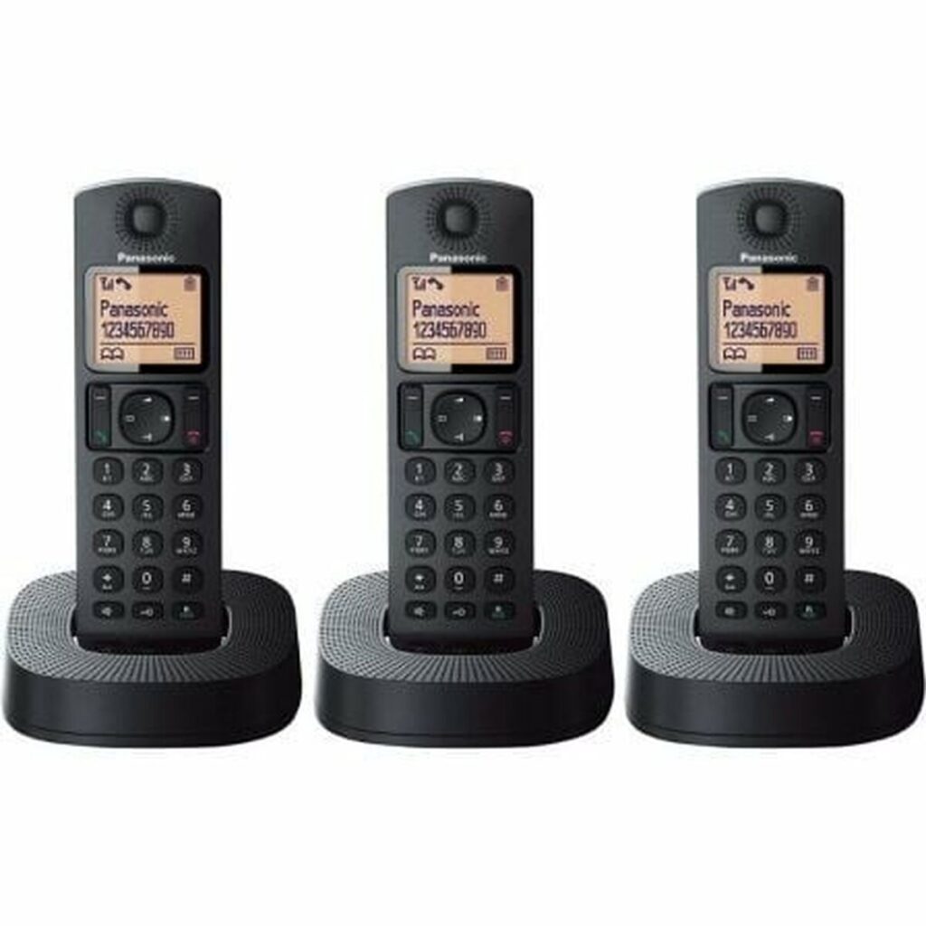 Telefono Senza Fili Panasonic KX-TGC313SPB