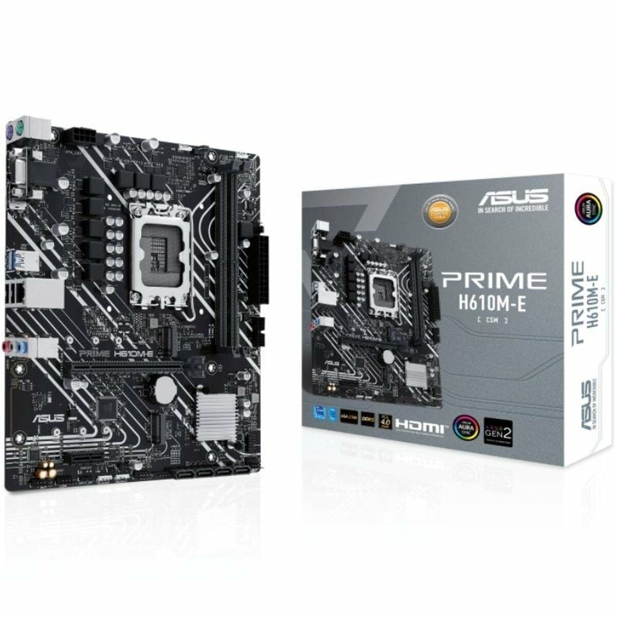 Scheda Madre Asus 90MB1G10-M0EAYC H610 LGA 1700