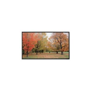 Sapphire SFSC234-10SB schermo per proiettore 16:10 (SFSC234-10SB Fixed Frame Front Projection Screen, Slim Bezel 2.3m 16:10)