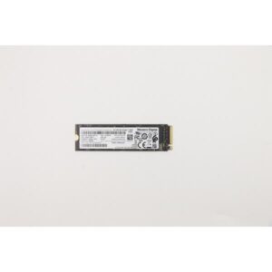 Lenovo 5SS0V26411 drives allo stato solido 256 GB M.2 PCI Express 3.0 (256G PCIe 3x4 - Warranty: 3M)