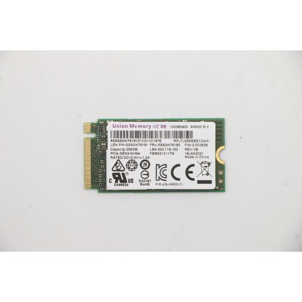 Lenovo 5SS0W76183 drives allo stato solido 256 GB M.2 PCI Express 3.0 NVMe (UMIS AM620 256G PCIe 2242 SSD - Warranty: 6M)
