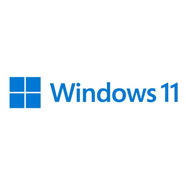 Microsoft Windows 11 Pro for Workstations 1 licenza/e (MS SB Windows 11 Pro for Workstations [DE] DVD)