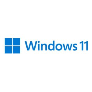 Microsoft Windows 11 Pro for Workstations 1 licenza/e (MS SB Windows 11 Pro for Workstations [UK] DVD)