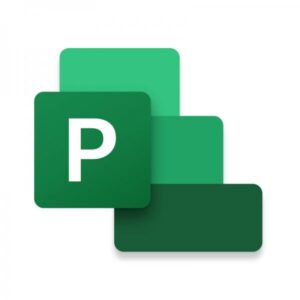Microsoft Project Standard 2021 Gestione di progetti 1 licenza/e (PROJECTSTNDARD 2021 WIN ENGMEDIALES)