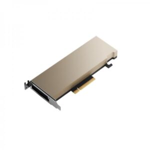PNY A2 NVIDIA 16 GB GDDR6 (NVIDIA A2 Modul 16GB GDDR6 ECC)
