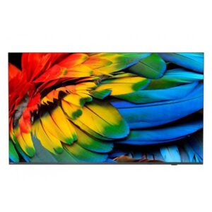 Philips 43HFL6214U 109,2 cm [43] 4K Ultra HD Smart TV Wi-Fi Antracite 400 cd/m² Display arrotolabile (43HFL6214U 43 INCH Mediasuite TV)