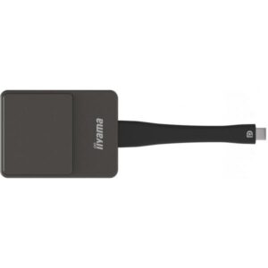 iiyama WP D002C dongle Smart TV USB 4K Ultra HD Nero, Argento (IIYAMA - WP D002C)