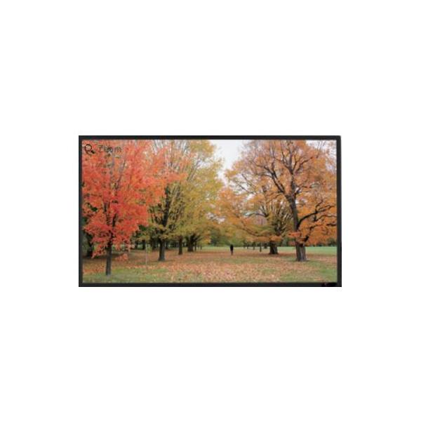 Sapphire AV SFSC266-SB-AT schermo per proiettore 3,07 m [121] 16:9 (SFSC266-SB-AT Slim Bezel Fixed Frame Screen 2.6m 16:9, Woven)