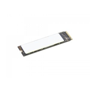 Lenovo 4XB1N36076 drives allo stato solido 2 TB M.2 PCI Express 4.0 NVMe (2TB Performance PCIe Gen4 NVMe - Warranty: 12M)