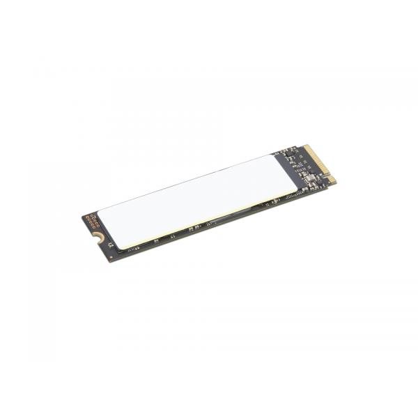 Lenovo 4XB1N36076 drives allo stato solido 2 TB M.2 PCI Express 4.0 NVMe (2TB Performance PCIe Gen4 NVMe - Warranty: 12M)