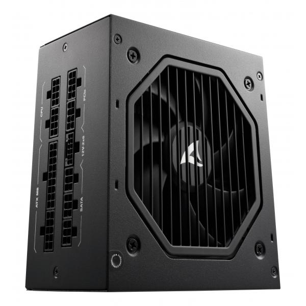 Sharkoon Rebel P20 alimentatore per computer 1000 W 24-pin ATX ATX Nero (Sharkoon Rebel Gold - str?mforsyning -)