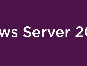 Lenovo Windows Server 2025 Client Access License [CAL] Licenza (Microsoft Windows Server 2025 - Licenza - 10 licenze CAL utente - per ThinkSystem SR250 V3, SR630 V3, SR650 V3, ST250 V3, ST50 V3)