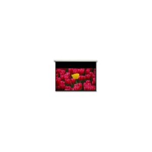 schermo motorizzato  244x167 16:9DE-9106EGA
