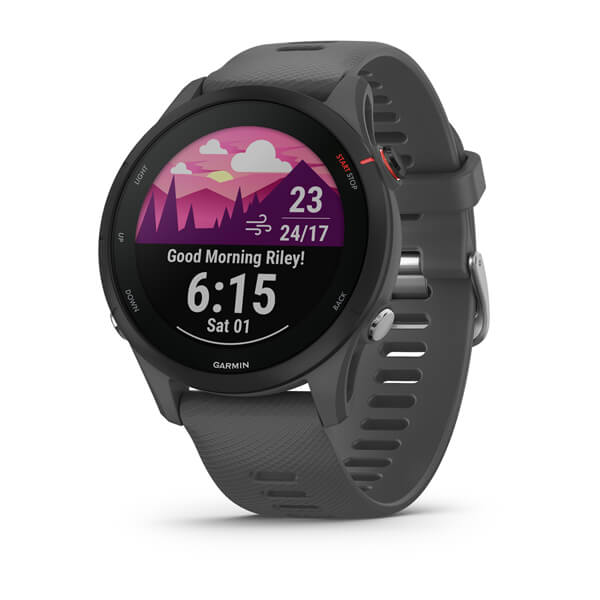 Sport Connected Watch - Garmin - Forerunner 255 - Grigio